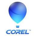 Corel Academic Site License Level 4 One Year